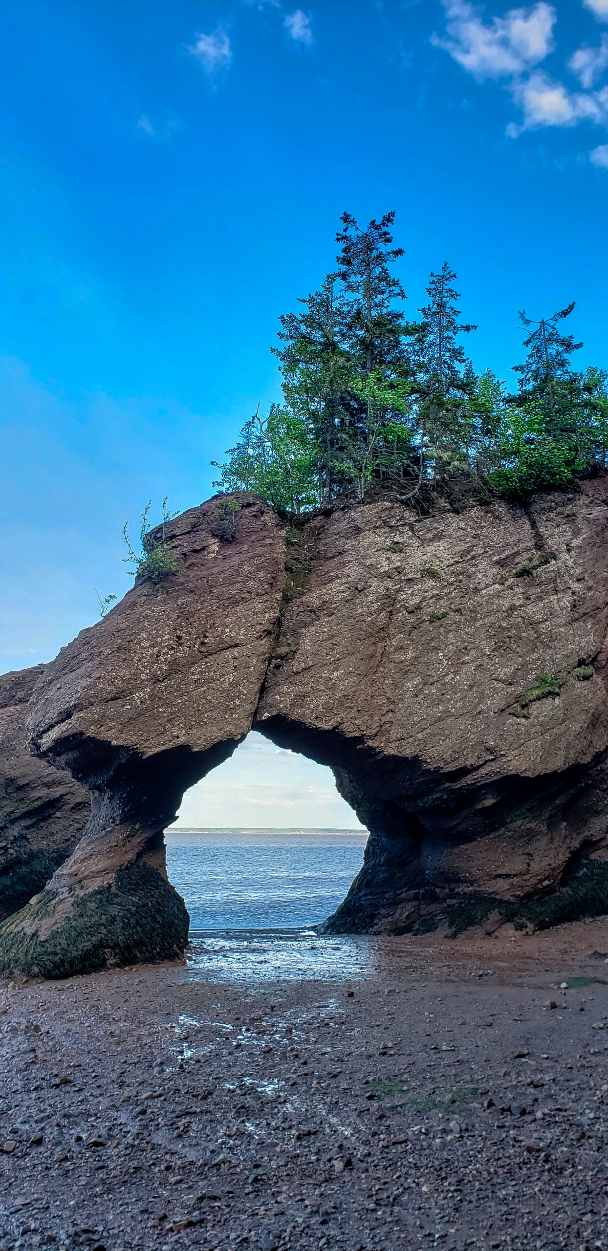 What To Expect At Hopewell Rocks In Summer
