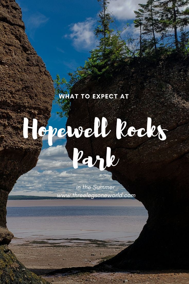 What To Expect At Hopewell Rocks In Summer
