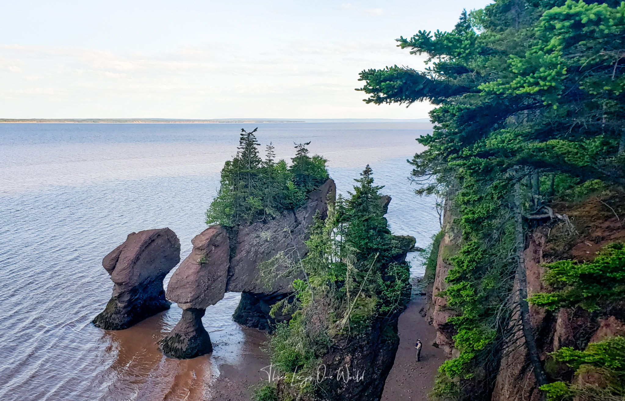 What To Expect At Hopewell Rocks In Summer