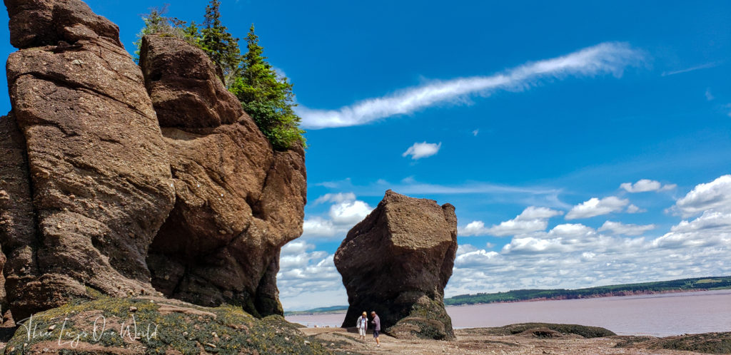 What To Expect At Hopewell Rocks In Summer